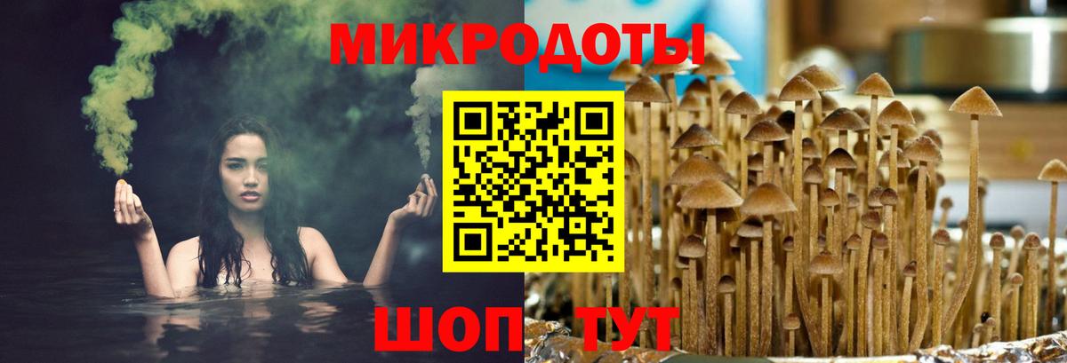 Ревда  Галлюциногенные грибы Magic Shrooms  Вход с VPN 