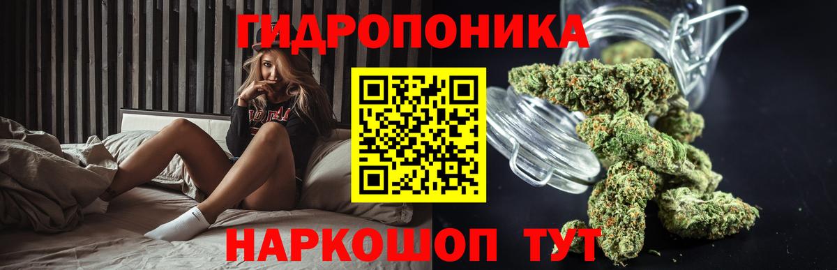 Шишки марихуана гибрид Ревда